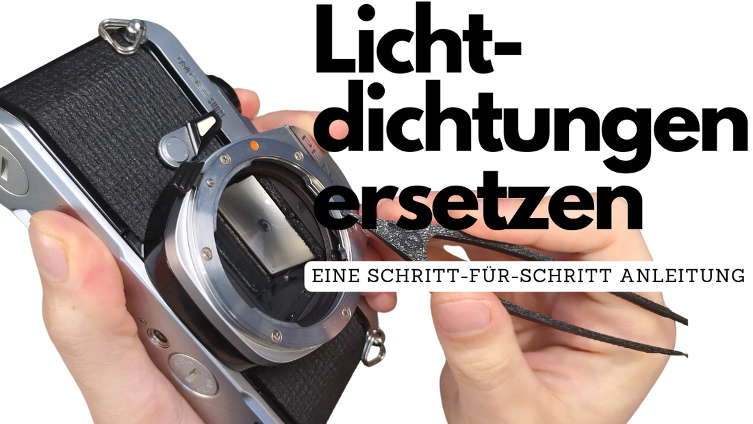 So ersetzt du die Lichtdichtungen deiner Analogkamera
